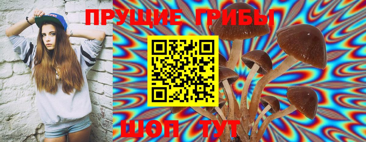 Псилоцибиновые грибы мицелий Петропавловск-Камчатский