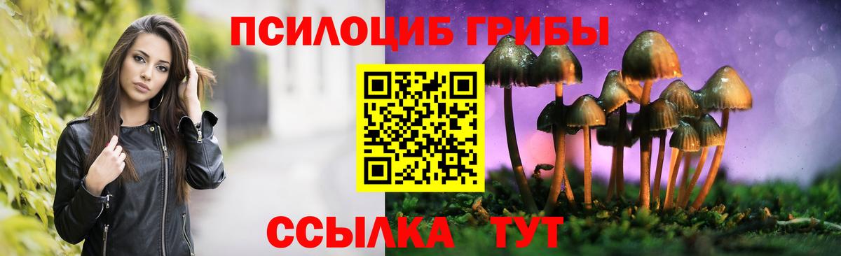 Петропавловск-Камчатский  Галлюциногенные грибы Magic Shrooms  закладки  Псилоцибиновые грибы мухоморы  Вход с VPN 